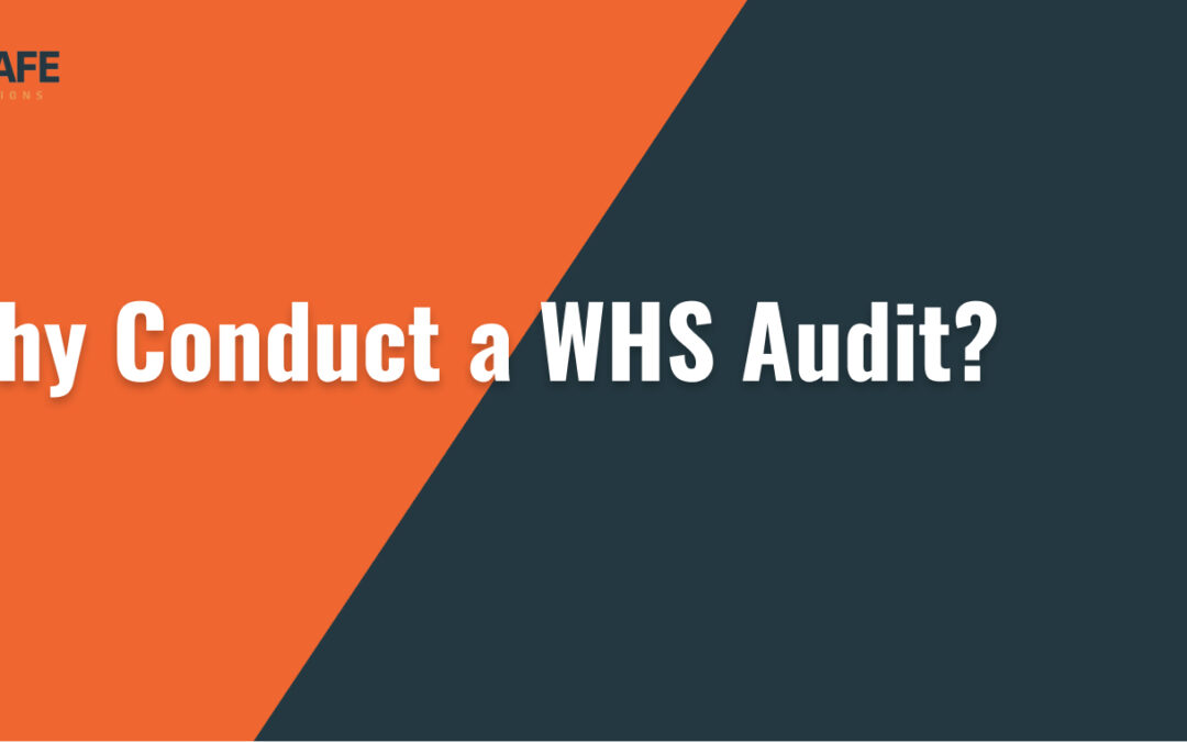 WHY CONDUCT A WHS AUDIT