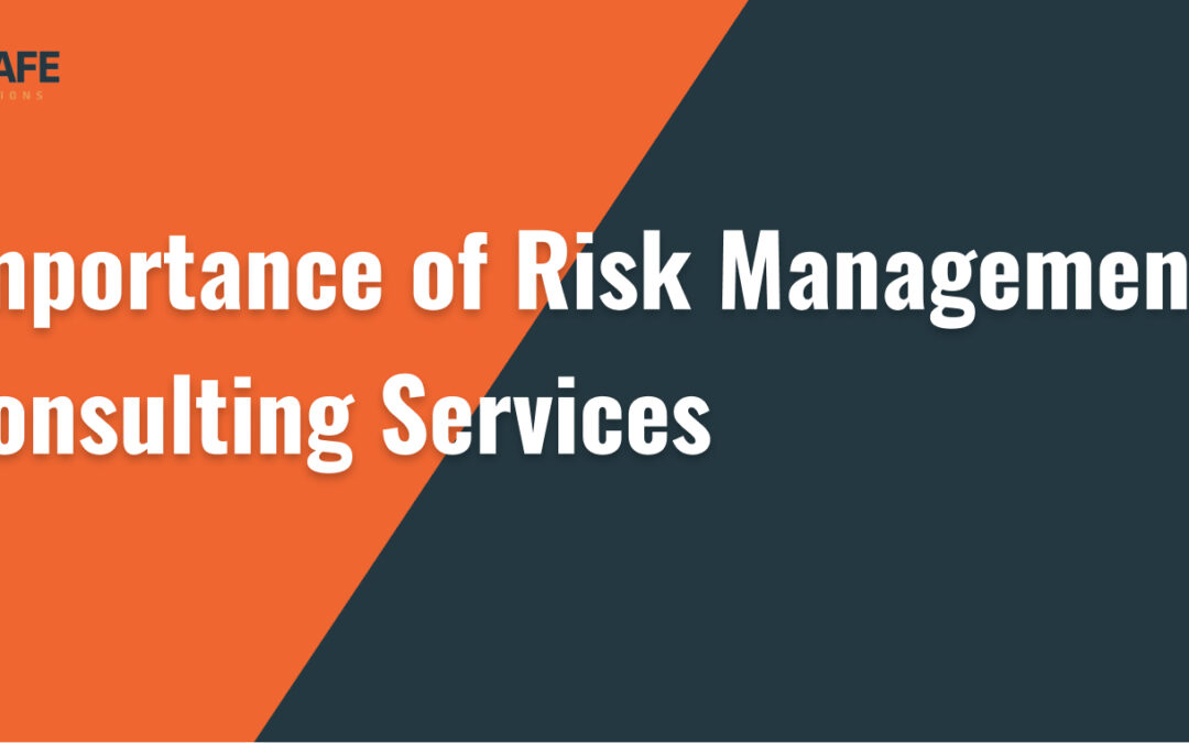 Importance of Risk Management Consulting Services