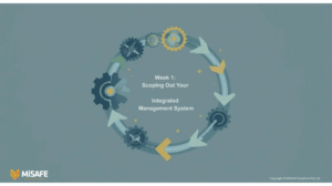 flowchart-for-ims-scope-customisation-qhse-boundaries