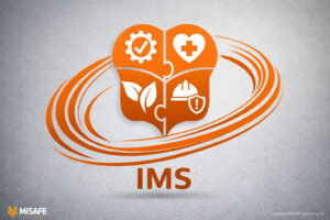 team-blending-qhse-puzzle-pieces-for-ims-unification